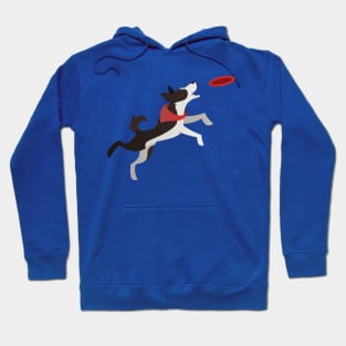 Border Collie Playing Fetch Hoodie